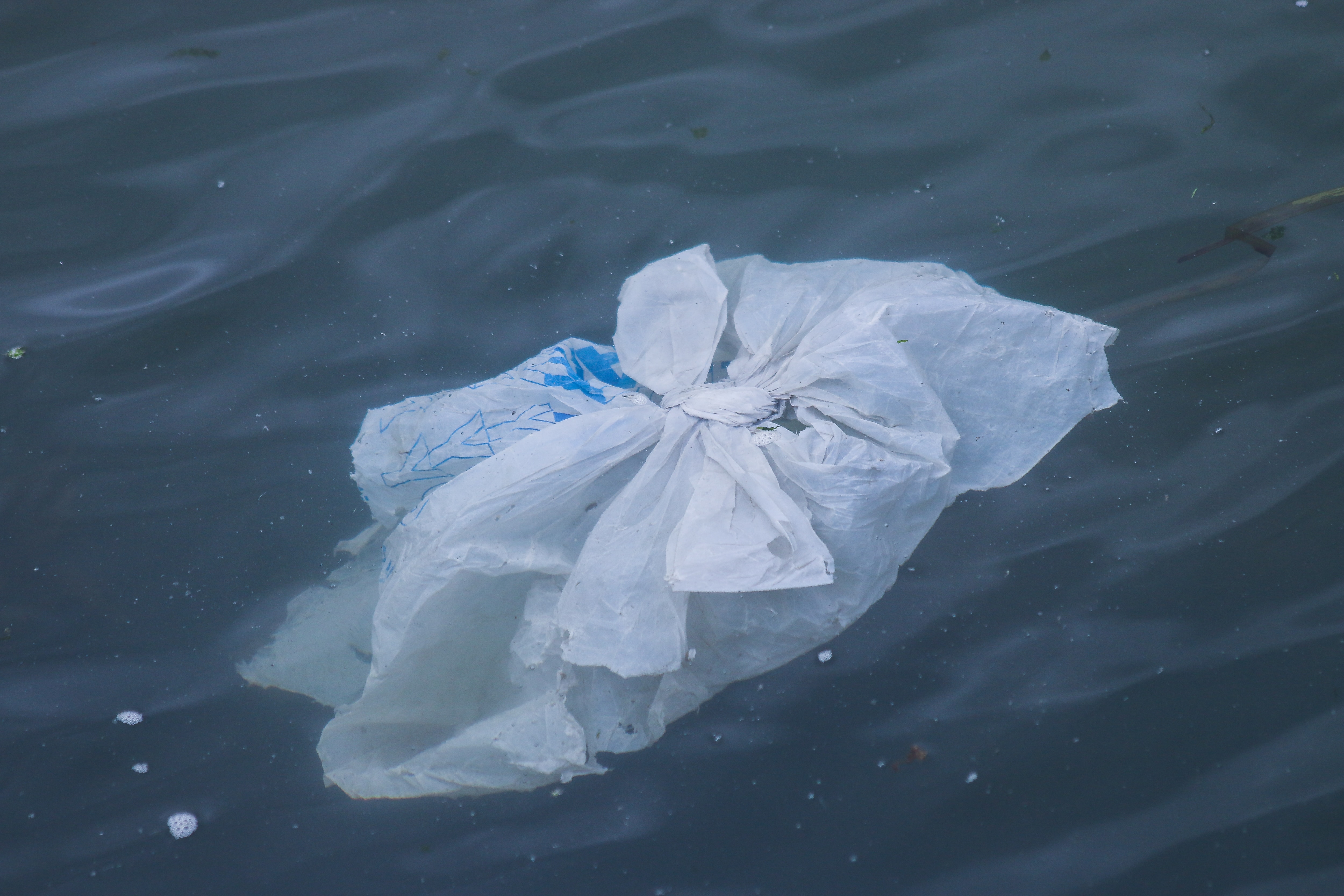 Plastic Bag Bans: The Trend That Can't Stop, Won't Stop