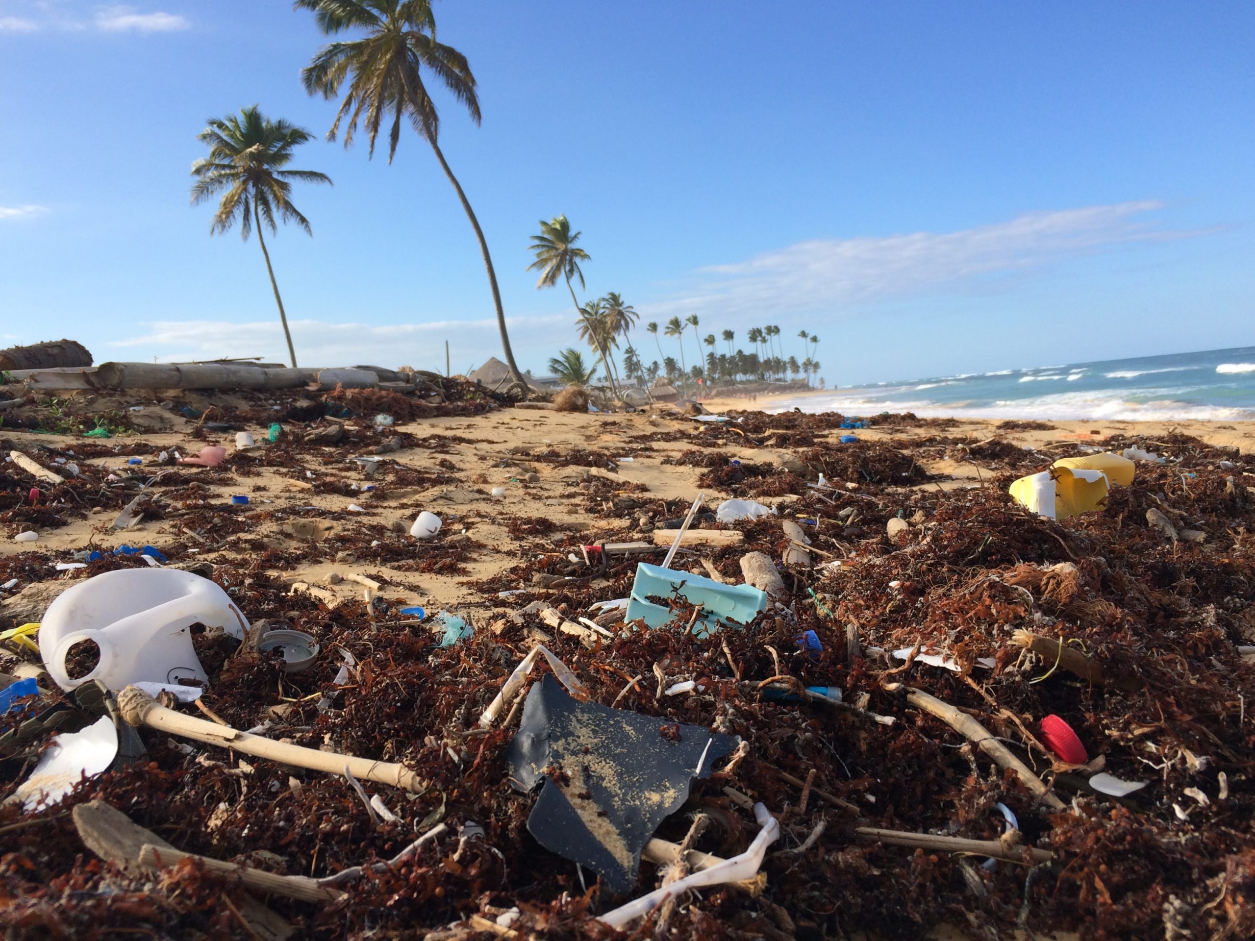 plastic waste littered on beach with palm trees in the background