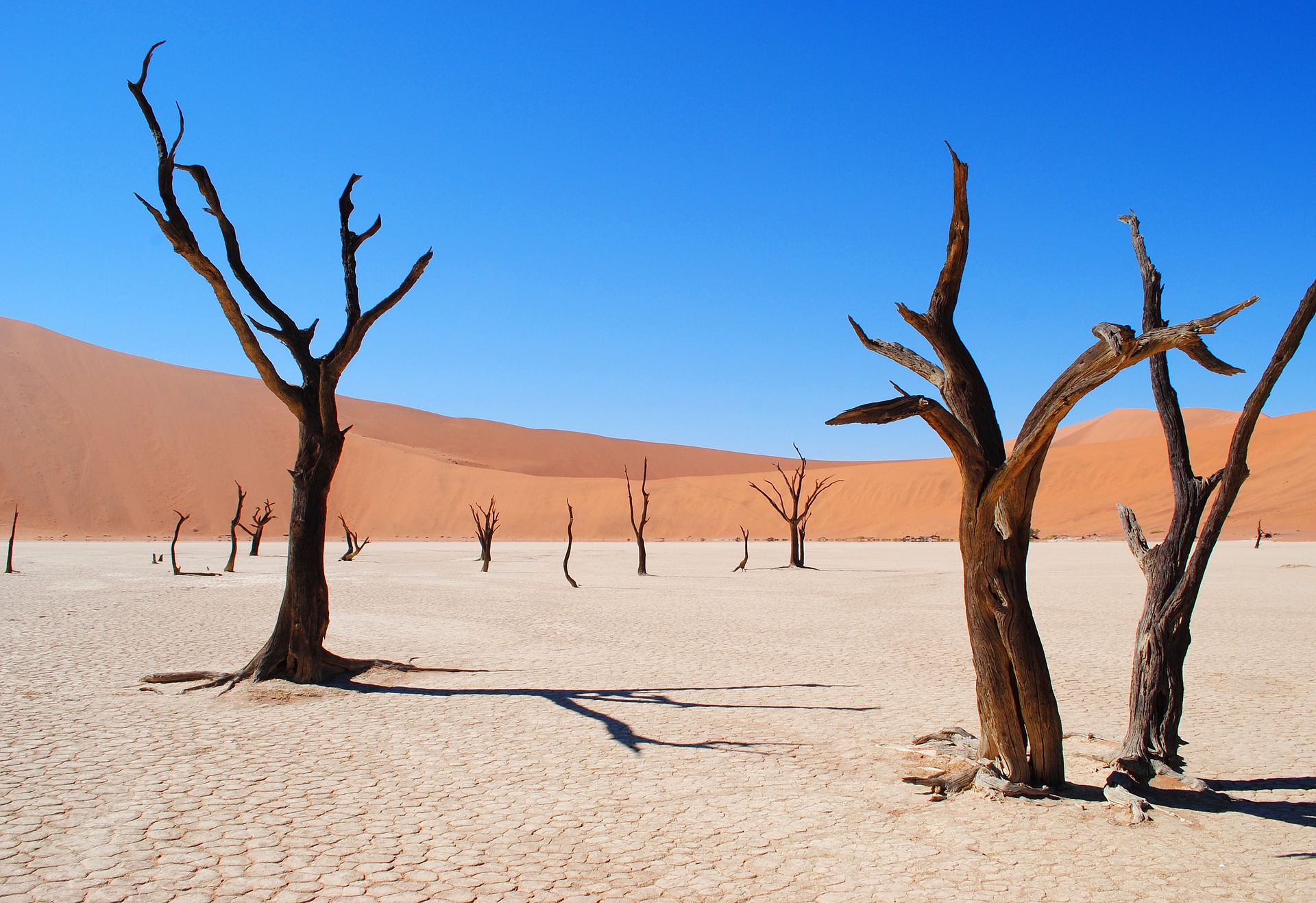 Desertification and land degradation threaten global well-being - Earth Day