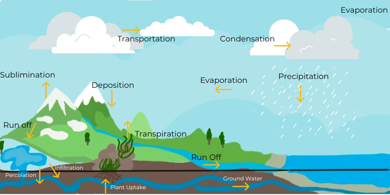 water cycle diagram for class 8