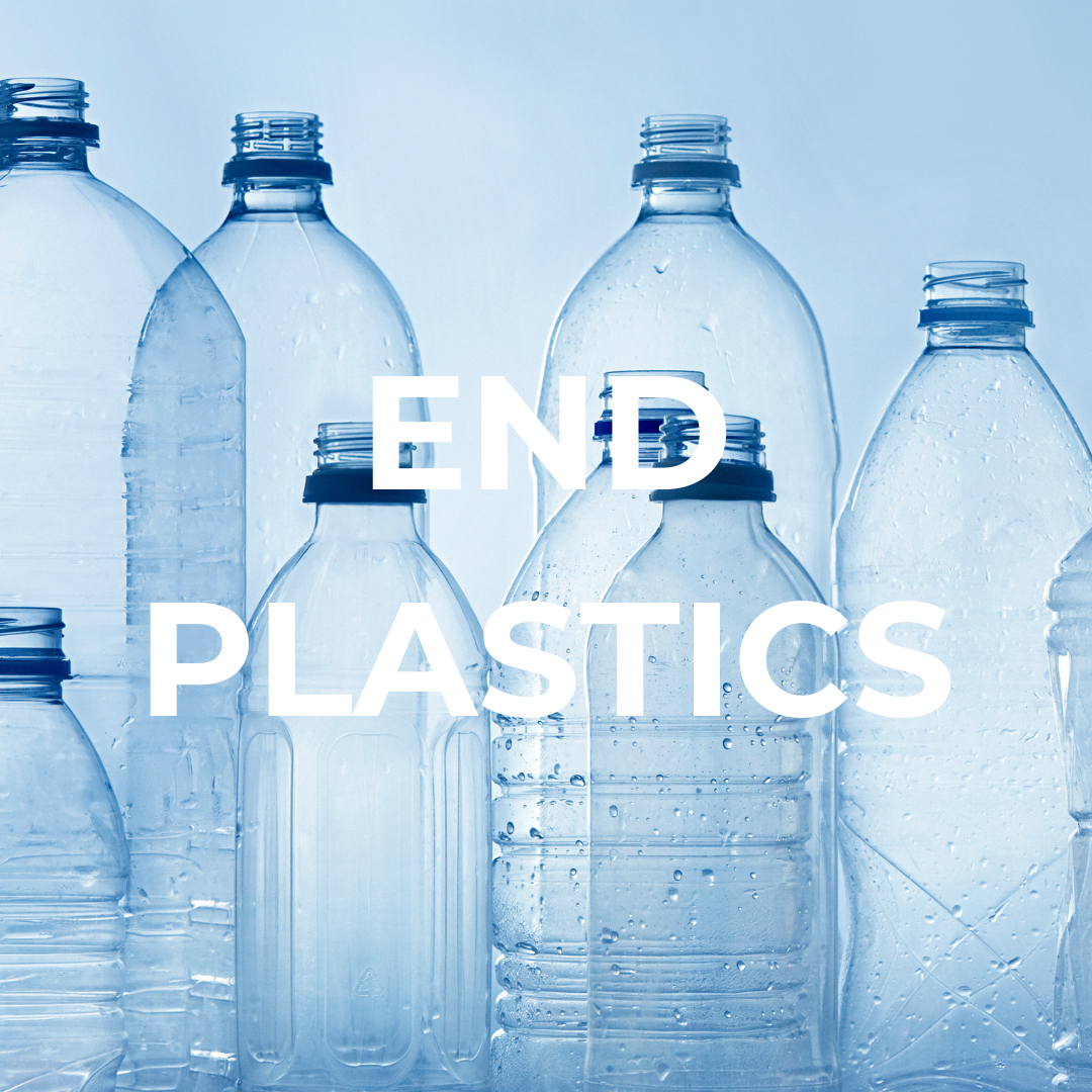 End Plastics & Single User Plastic Pollution – Earth Day Campaign