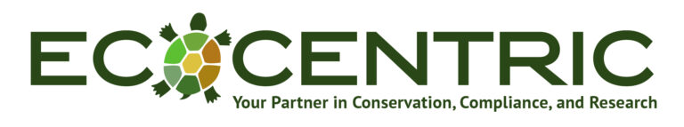 Ecocentric_Logo_Color