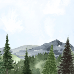 Watercolor of a forest