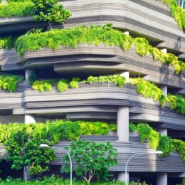 Urban greenery on concrete