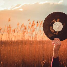 Person holding a vinyl record in a field