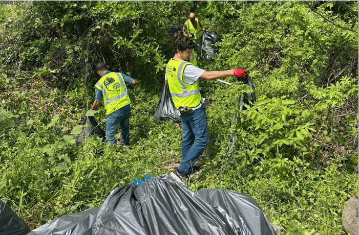 Volunteers picking up trash outside of woods in Raleigh